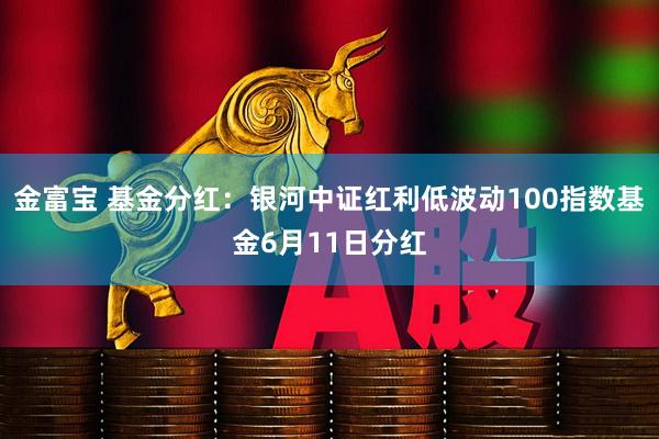 金富宝 基金分红：银河中证红利低波动100指数基金6月11日分红