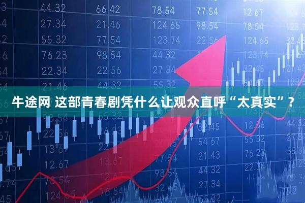 牛途网 这部青春剧凭什么让观众直呼“太真实”？