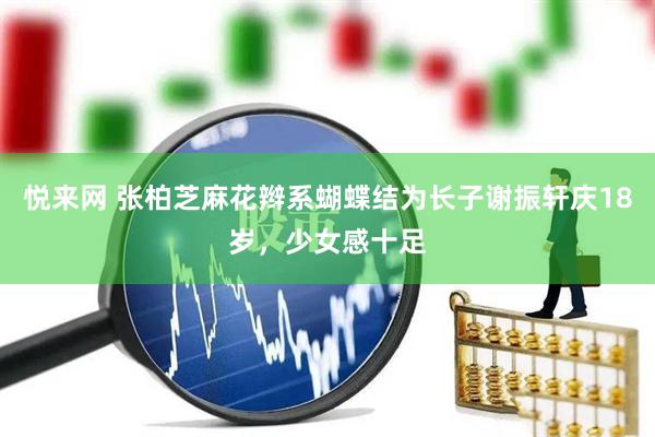 悦来网 张柏芝麻花辫系蝴蝶结为长子谢振轩庆18岁，少女感十足