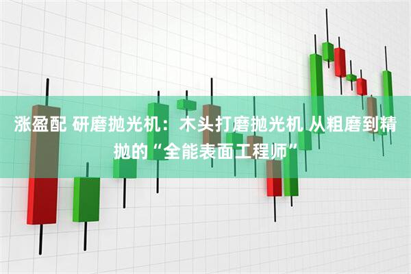 涨盈配 研磨抛光机：木头打磨抛光机 从粗磨到精抛的“全能表面工程师”