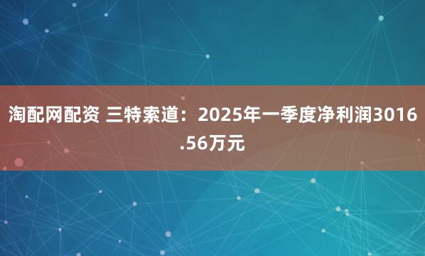 淘配网配资 三特索道：2025年一季度净利润3016.56万元