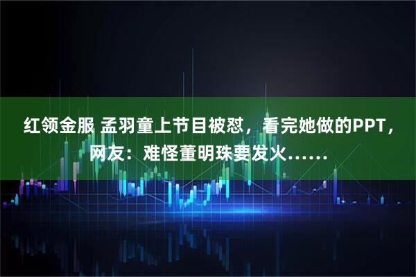 红领金服 孟羽童上节目被怼，看完她做的PPT，网友：难怪董明珠要发火……